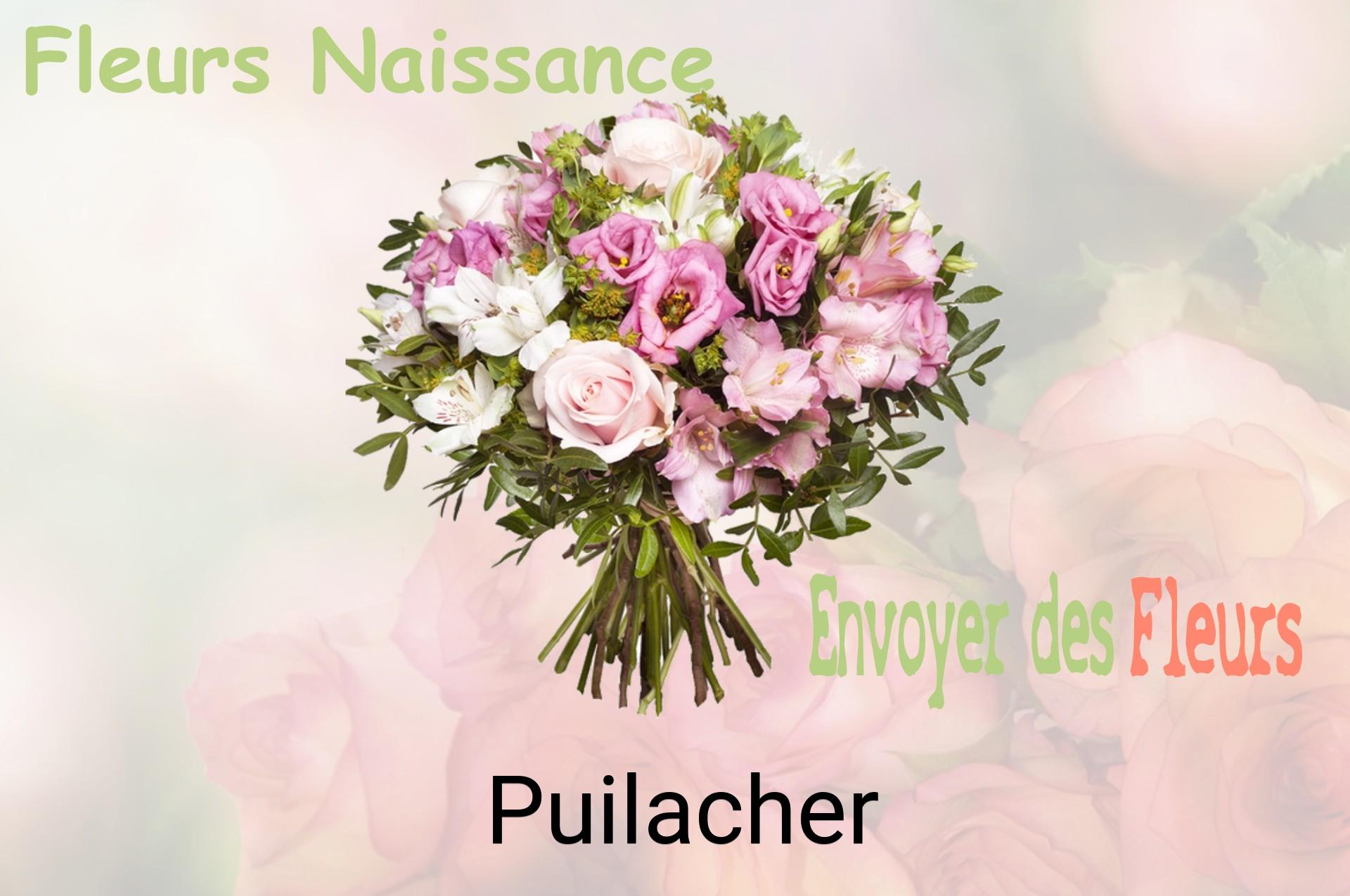 Bouquet de fleurs de naissance livré à Puilacher