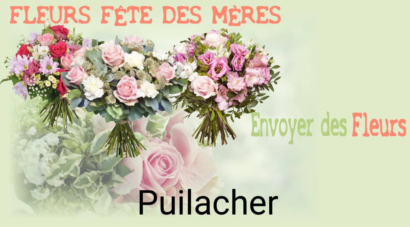 Bouquet de Fête des Mères livré à Puilacher